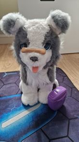 interactive dog