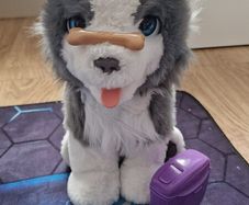 interactive dog