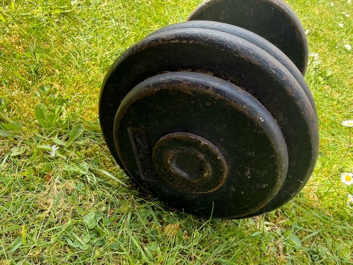 12.5kg Dumbbells x2