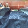 Black Lace and Faux Leather Top for Sale Image 4