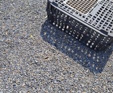 pet cage