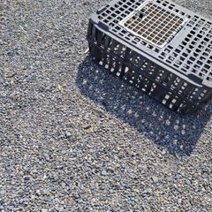 pet cage