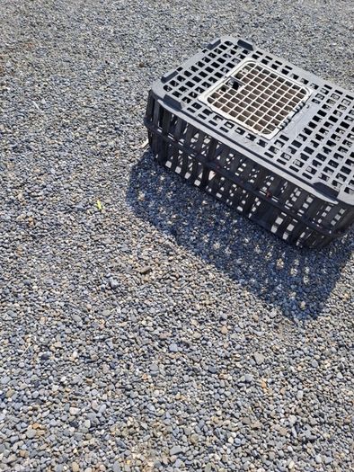 pet cage