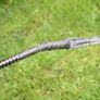 Antique Leather Horse Whip Sterling SILVER TOPPED EDWARDIAN Image 6