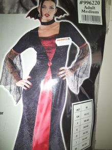 Ladies Halloween costume