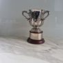 The Football League Cup Metal Image 2