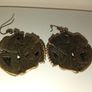 Vintage Brass Tone Drop Earrings With Ornate Scrollwork Filigree And Green Textured Stones Image 2