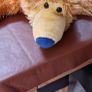 bear in the big blue house Image 6