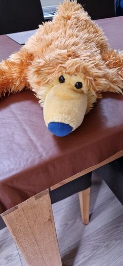 bear in the big blue house