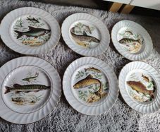 Set of 6 vintage plates