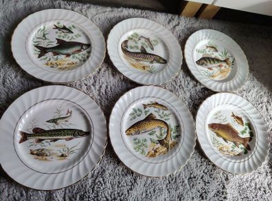 Set of 6 vintage plates