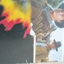 Back to the Future Trilogy DVD Set Image 3