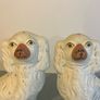 Antique/Vintage Staffordshire Dogs (Pair) Image 2