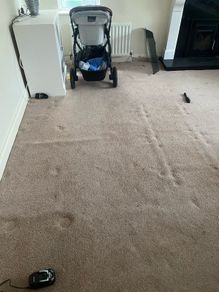 Beige Carpet