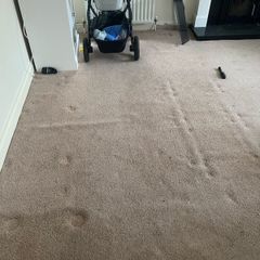 Beige Carpet