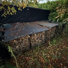 Fir Logs - dried 4+ years - IBC cage/crate