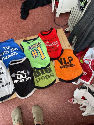 Puppy Vests