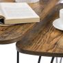 Coffee Table, Set of 2 Side Tables for Living or Dining Room, Bedroom, Industrial Design Vintage Image 4