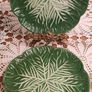 Plates Green Cabbage Image 2