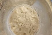Sourdough starter
