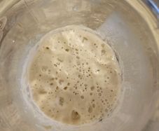 Sourdough starter