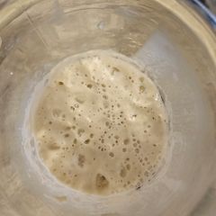 Sourdough starter
