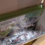 Persona 4 Arena Limited Edition Image 2