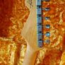Fender Custom Shop 1960 Stratocaster Vintage White Relic (Delivery available) Image 10