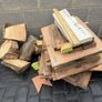 free timber Image 2