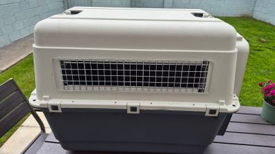 XL large dog travel box
