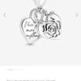 pandora charm Image 4