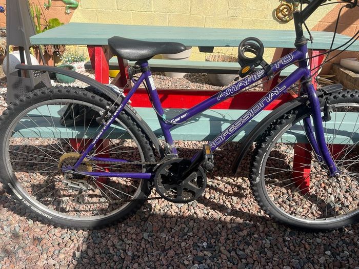 bike size 24