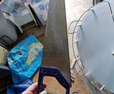 wood saw