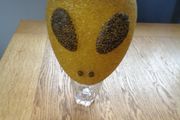Alien Head for Sale