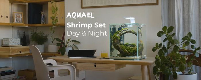 Aquael Shrimp Set Smart Day&night 20 White
