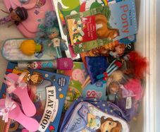 girls toy and book bundle