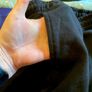 mens  bottoms Image 4