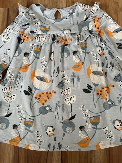 Next dress age 5-6 worn once! Like new!