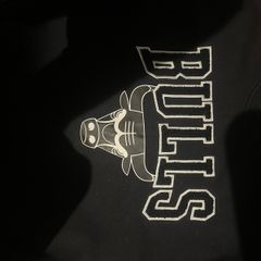 Chicago Bulls jumper