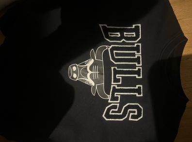 Chicago Bulls jumper