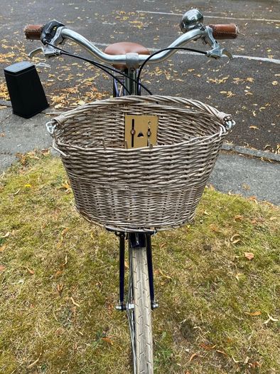 Raleigh Willow Women's Dutch Bike