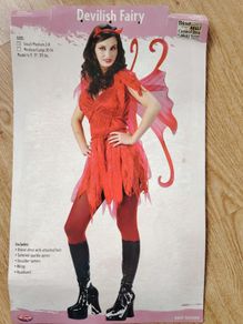 Devilish Fairy Costume Size 8-10