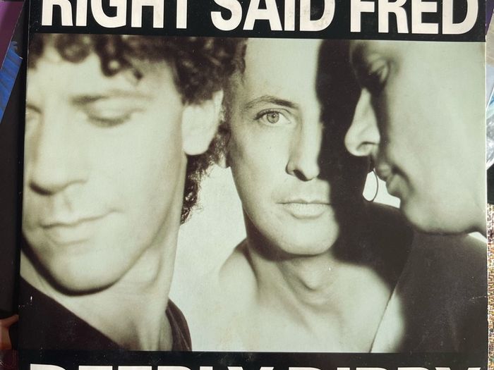 Right said Fred Deeply dippy picture sleeve vinyl record single in vg+ condition