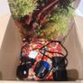 Fish Tank and Accessories Image 3