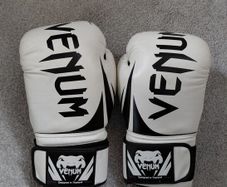 14oz Venum Boxing Gloves and Ab Roller