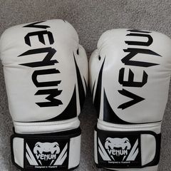 14oz Venum Boxing Gloves and Ab Roller