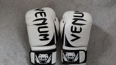14oz Venum Boxing Gloves and Ab Roller