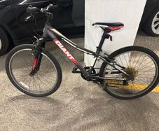 Giant Revel Mountain Bike