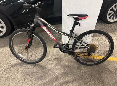 Giant Revel Mountain Bike