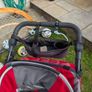 Running Buggy Image 4